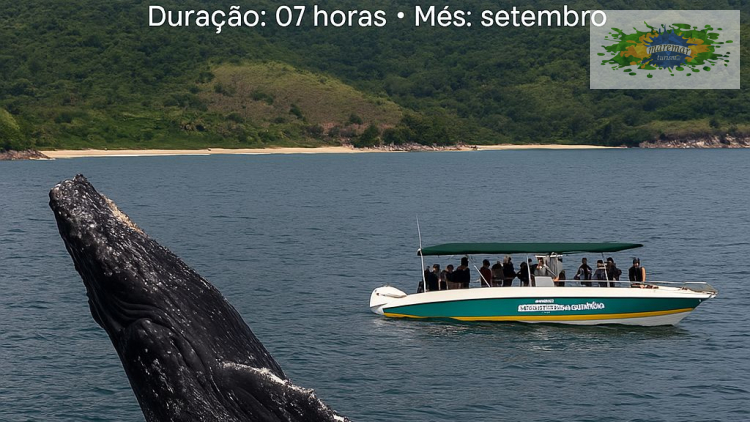Imagem de vitrine